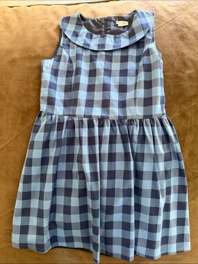 Kling Blue Gingham Sleeveless Dress